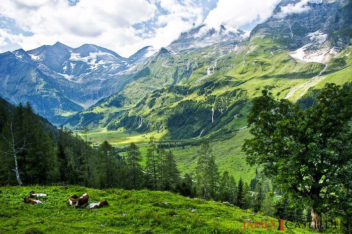 Alpe Austrija