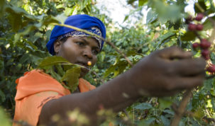 Na sajmu SCA World of Coffee u Berlinu udruženje International Coffee Partners razgovarat će s uzgajivačima kave o rješenjima za izazove s kojima se suočavaju