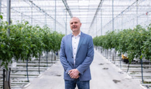 Najveći domaći proizvođač mini rajčica Zarja grupa očekuje 3 milijuna kuna dobiti