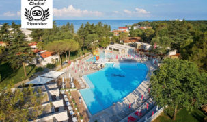 TRAVELERS` CHOICE WINNERS 2020.