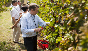 Diplomatska berba Jastrebarsko