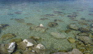 zazov generacije - čisto more