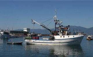 ribar