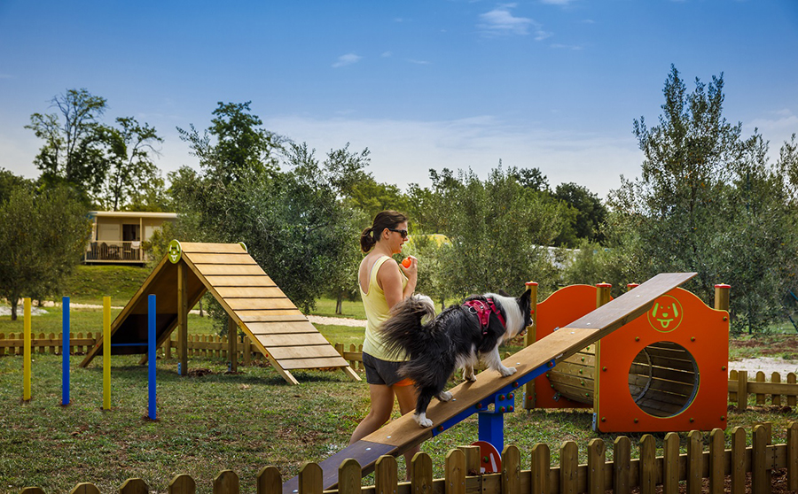 Aminess prijatelj kućnih ljubimaca - svi objekti od sada pet friendly