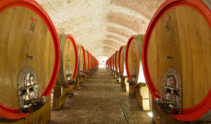 Goldberg Red je novo veliko crno vino iz Baranje