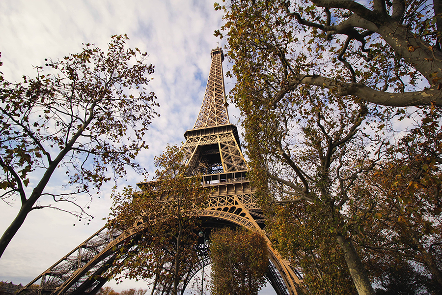 eiffel-tower-s-view-from-park-min