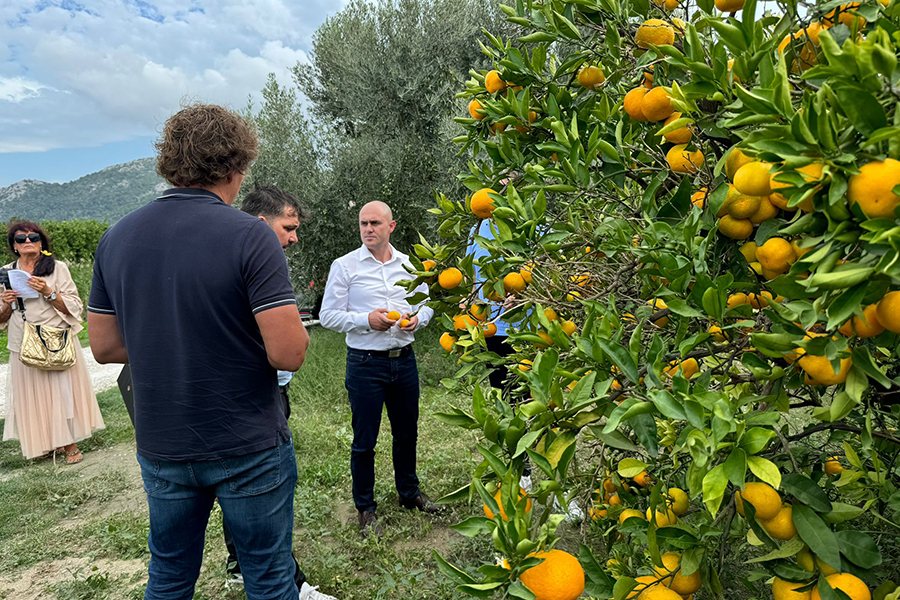 Ministar Dabro na radnom sastanku i obilasku proizvođača doline Neretve