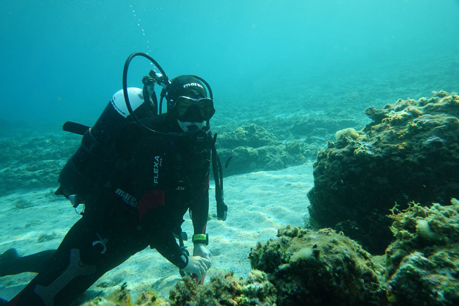 projekt ReefQuest