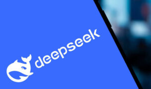 DeepSeeks