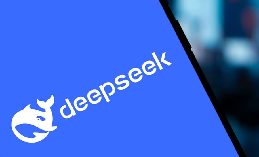DeepSeeks