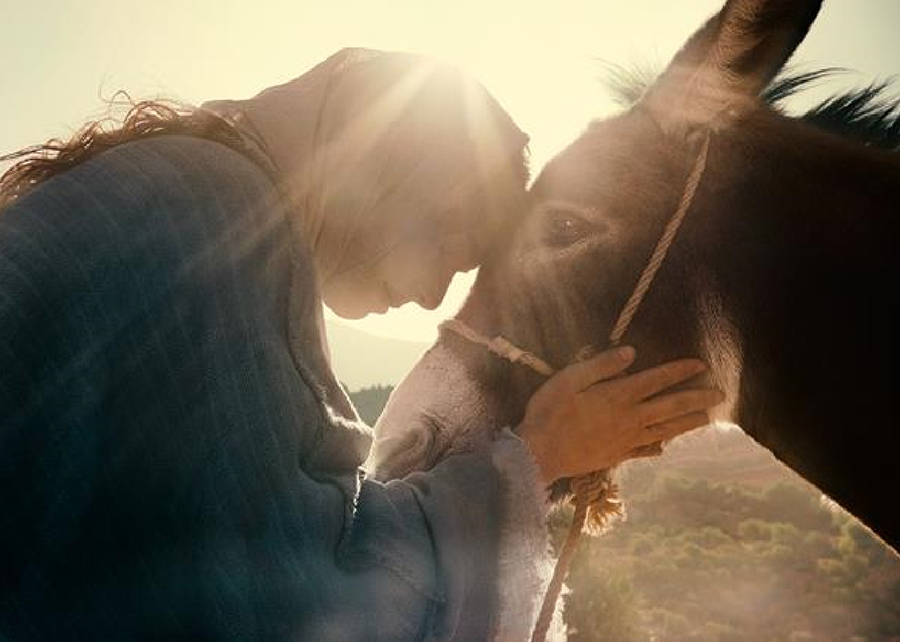 Lansirana nova #vjerujusebe božićna kampanja Erste Groupa