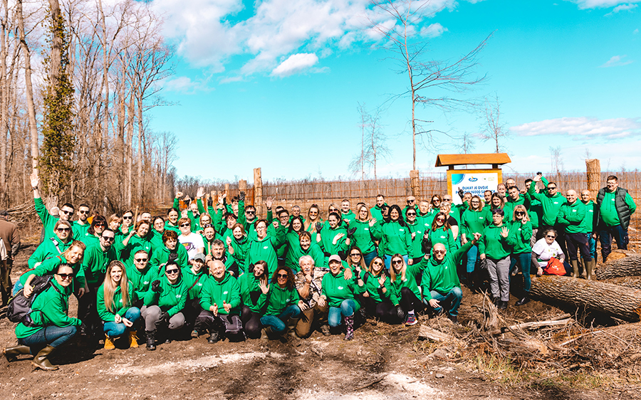 Dukat sadi 16 tisuća hrastova u okolici Bjelovara