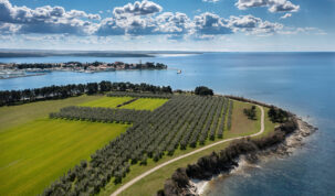 Aminessova Vergal ulja ponovno osvojila New York: Dva zlata za Frantoio i Blend