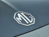 mg