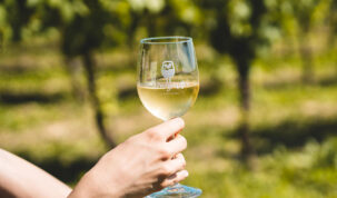 Vinogradi s pogledom