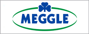 Megle-web