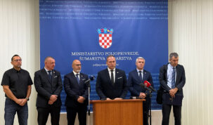 vlajcic