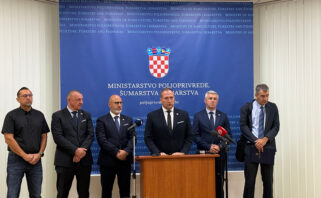 vlajcic