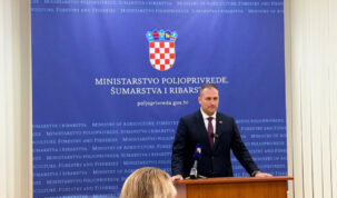 vlajcic