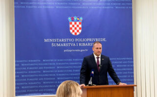 vlajcic