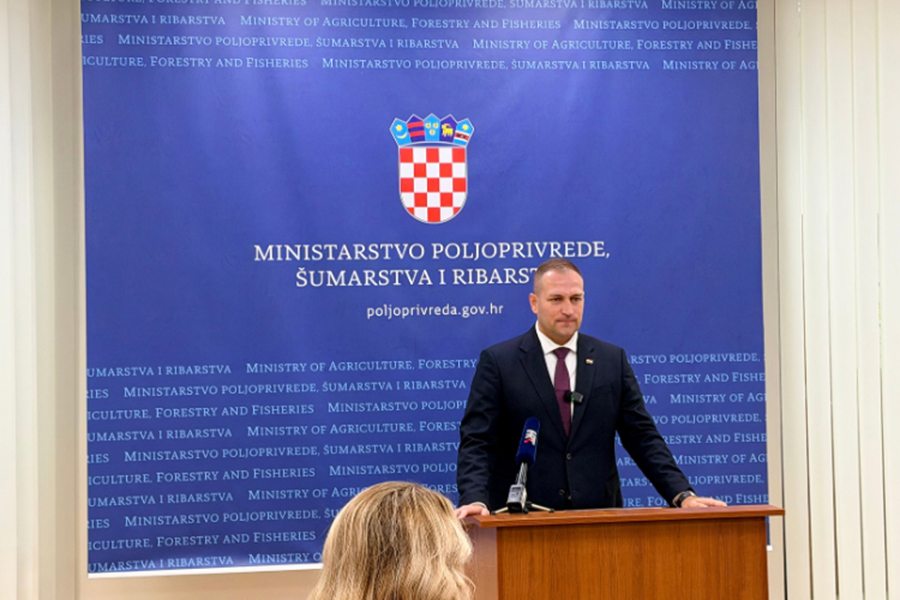 vlajcic