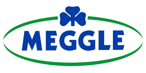 Logo Meggle