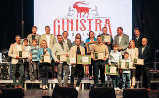peta GinIstra u Rovinju