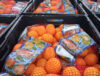 Sezona mandarina u Opuzenu u punom jeku - planirano pakiranje 10.000 tona