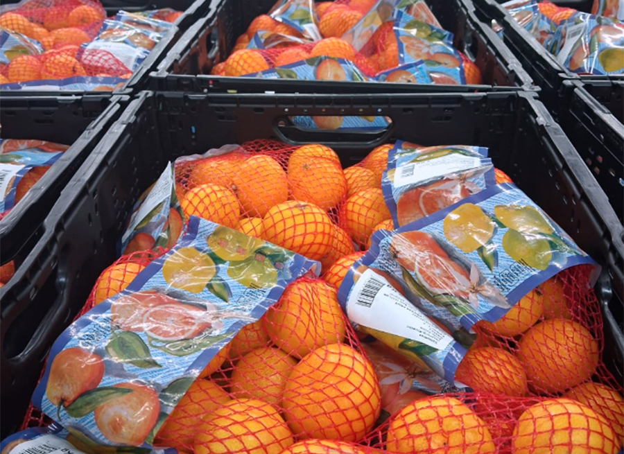 Sezona mandarina u Opuzenu u punom jeku - planirano pakiranje 10.000 tona